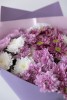 Букет из кустовых хризантем №2 (розовый) - Букет из кустовых хризантем №2 (розовый)
