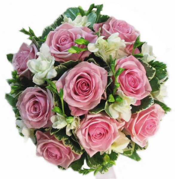 Букет свадебный 00017695 Роза Хэвен—9 шт.. Дополняющие цветы— фрезия. Зелень—питтоспорум. На портбукетнице