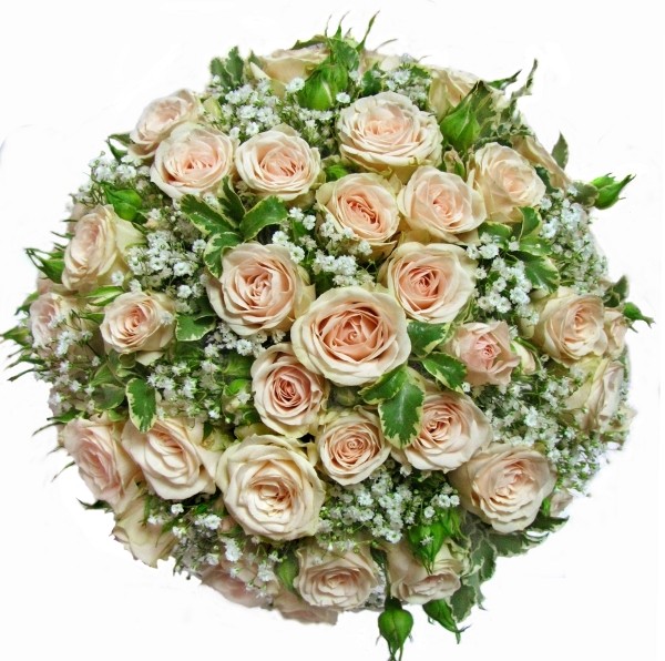 Букет свадебный 00008920 Роза кустовая Яна—25 шт. Дополняющие цветы— гипсофила. На портбукетнице