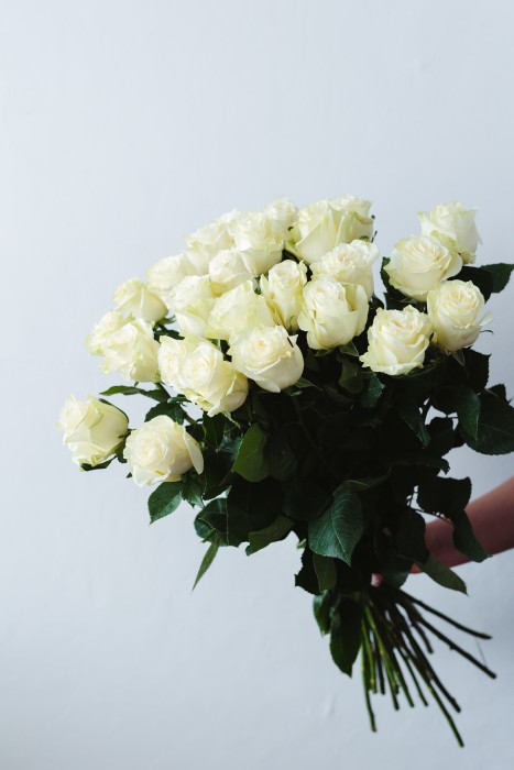 Роза &quot;Мондиаль&quot; Белые розы с легким зеленым оттенком на наружных лепестках​ 