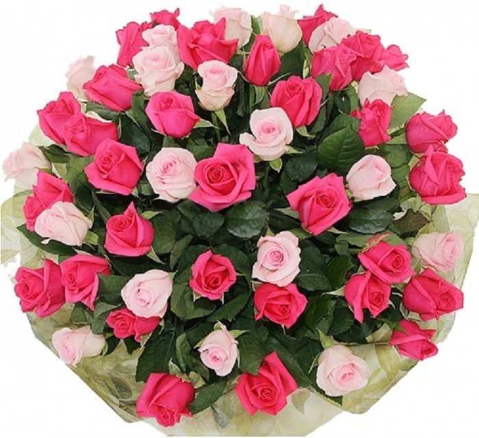 Букет &quot;Комплимент&quot; Букет из комбинации 51 штук эквадорских роз двух цветов.